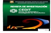 Revista cientifica cedit - 2006.pdf