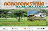Interacciones ganado-pastizal-árboles en los sistemas silvopastoriles