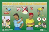 ¡Protege a los niños de los plaguicidas! - Guía ilustrada