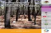 Caracterización y cuantificación de combustibles forestales