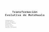 Transformación Evolutiva de Matehuala