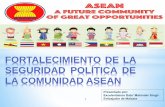 Fortalecimiento de la seguridad política de la comunidad ASEAN