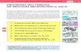 Programa multimedia para biología microscópica A, B, C, D