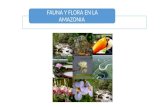 Presentación fauna y flora2