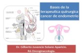 Bases de la terapeutica quirurgica cancer de endometrio