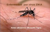 Enfermedad por virus Zika