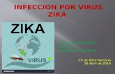 2016.04.26 - Virus Zika (PPT)