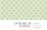 Catálogo de plantas para espacios abiertos.