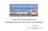 Curso de Patología Molecular “Patología Molecular del Cancér de ...