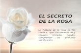 El secreto de la rosa y las plumas al viento