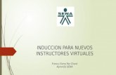 Induccion para nuevos instructores virtuales