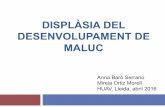 Displàsia del desenvolupament de maluc. 2016