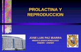 Prolactina y Reproducción humana