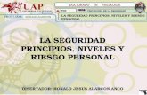 LA SEGURIDAD PRINCIPIOS, NIVELES Y RIESGO PERSONAL