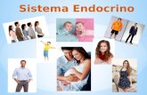 Presentación sistema endocrino 2