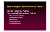 Bases Biológicas de la Producción Animal Cátedra Fisiología ...