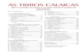 As Tribos Calaicas - Proto-História da Galiza à Luz dos Dados ...