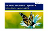 Soluciones de Eficiencia Organizativa