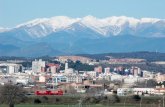 Figueres possiblement la ciutat més figuerenca del món pdf  27 12 2012