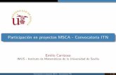 "Participación en proyectos MSCA - Convocatoria ITN", por Emilio Carrizosa, Instituto de Matemáticas de la Universidad de Sevilla - IMUS