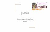Presentation Juvenilia