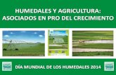 HUMEDALES Y AGRICULTURA: ASOCIADOS EN PRO DEL ...