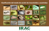 Comité de acción contra la resistencia a insecticidas