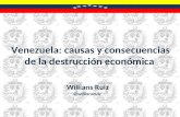 Willians Ruiz: 'Venezuela: causas y consecuencias de la destrucción económica'