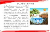 3º Civilización U10º VA: Ecosistemas mundiales
