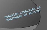 Deberían legalizar la marihuana en México?