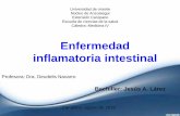 Enfermedad inflamatoria intestinal 2