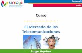 UNICyT - Mercado de las Telecomunicaciones - Clase 5