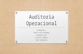 Auditoria operacional diapositivas