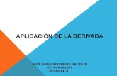 Aplicacion de la derivada - Jose Gregorio Riera Saldivia