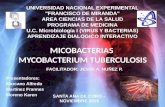 Infección por Micobacterium tuberculosis