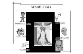 Sindromes condensacion - semiologia