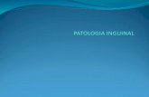 Patología inguinal y fimosis