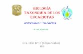 Taxonomía de los eucariotas diversidad y filogenia filo molusca
