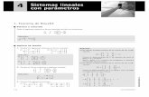 4 Sistemas lineales con parámetros