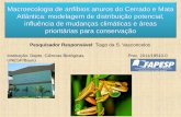 Macroecologia de anfíbios e anuros do Cerrado e Mata Atlântica ...