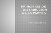 Principios de  distribucion de la planta