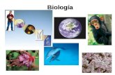 Biología y niveles de organizacion
