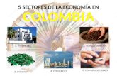 5 sectores de la economía en colombia