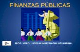 Unimex   estructura financiera del estado mexicano