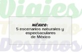 5 escenarios naturales y espectaculares de México