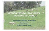 GESTIÓN TECNICO – ECONÓMICA DE OVINO DE CARNE DE ...
