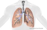 Fisiología del aparato respiratorio