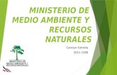 Ministerio de medio ambiente y recursos naturales