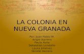 Colonia En Nueva Granada