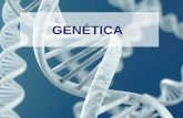 Presentación Tema 4. Genética